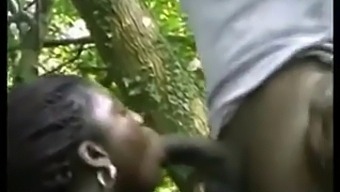 Schwarze Ebony Sexbombe Nimmt Großen Schwarzen Schwanz Auf